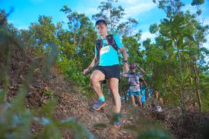 BIB: 247
                            <button type="button" onclick="openModal(21833531)" class="btn btn-primary btn-sm float-right btn-popup" data-toggle="modal" data-target=".modal-high-quality">
                        <i class="fas fa-shopping-cart"></i> Add to Cart
                    </button>
                                            <button type="button" onclick="isThisMe(21833531, true)" class="btn btn-success btn-sm float-right btn-popup btn-isme hidden" data-toggle="tooltip" data-placement="bottom" title="นี่คือรูปของคุณใช่ไหม คลิกที่นี่เพื่อเอาเข้าอัลบั้ม">
                        <i class="fas fa-plus"></i> Add to album
                    </button>
                    <button type="button" onclick="isThisMe(21833531, false)" class="btn btn-warning btn-sm float-right btn-popup btn-isnotme hidden">
                        <i class="fas fa-ban"></i> Remove from album
                    </button>